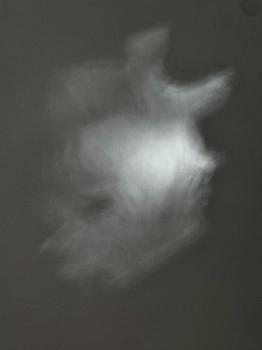 Animal Spirits #20