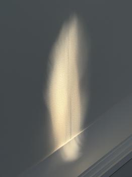 Angels #31