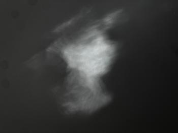 Human Spirits  #43