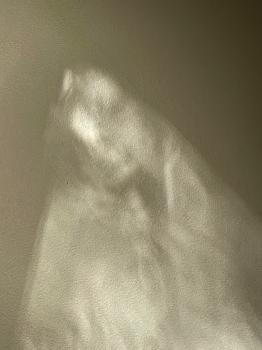 Human Spirits  #54