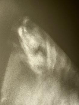 Human Spirits  #55