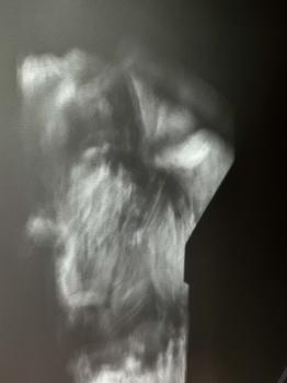 Human Spirits  #56