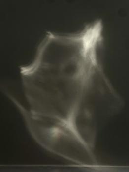 Human Spirits  #57